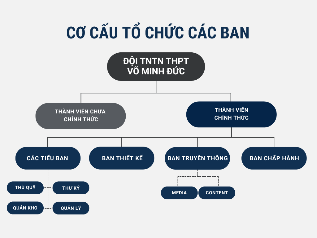 Cơ Cấu Tổ Chức Đội